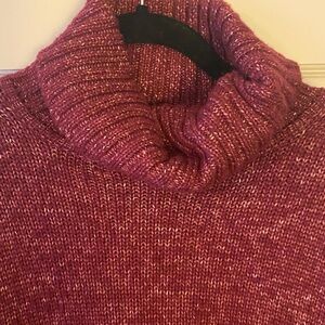 Banana Republic Women's Maroon Turtleneck Sweater